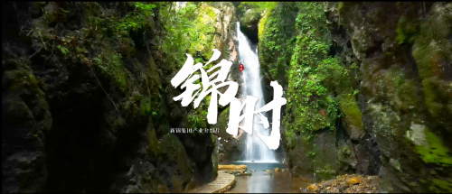 作品集丨新锦集团产业宣传片