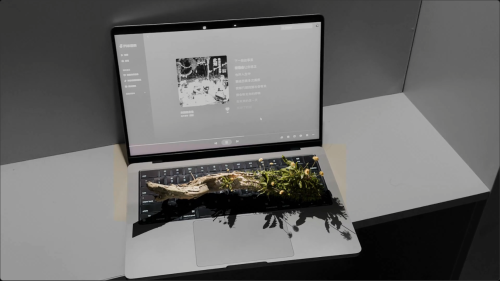 blender实景合成练习丨枯木逢春